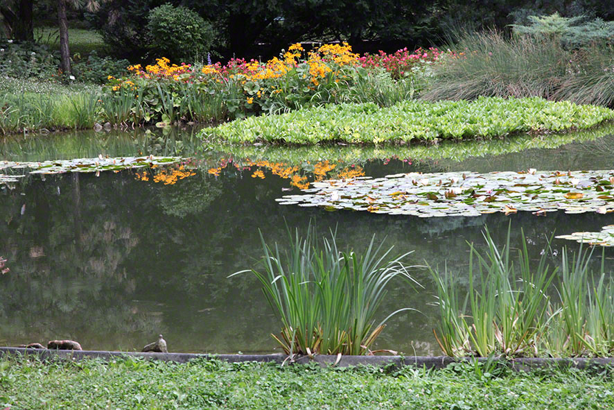 Zagreb-Botanischer Garten 2014
