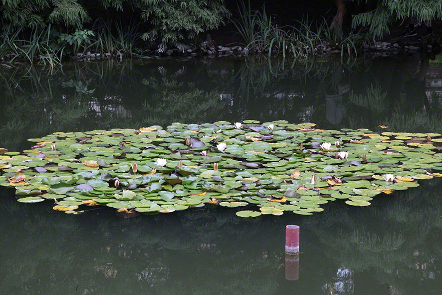 Zagreb-Botanischer Garten 2014
