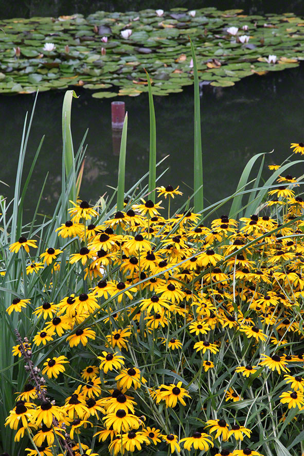 Zagreb-Botanischer Garten 2014
