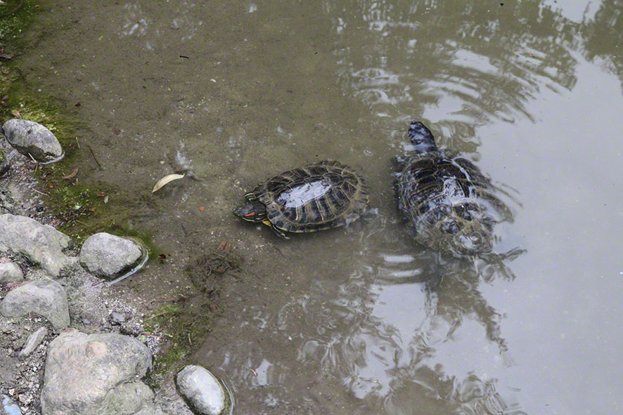 Zagreb-Botanischer Garten 2014