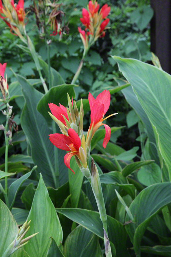 Zagreb-Botanischer Garten 2014