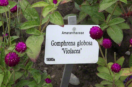 Zagreb-Botanischer Garten 2014