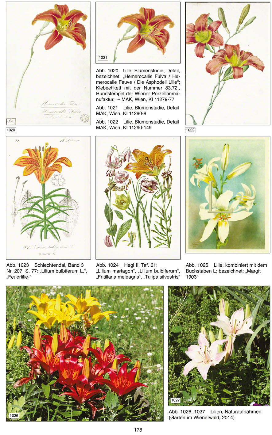 Blütenrätsel Publikation