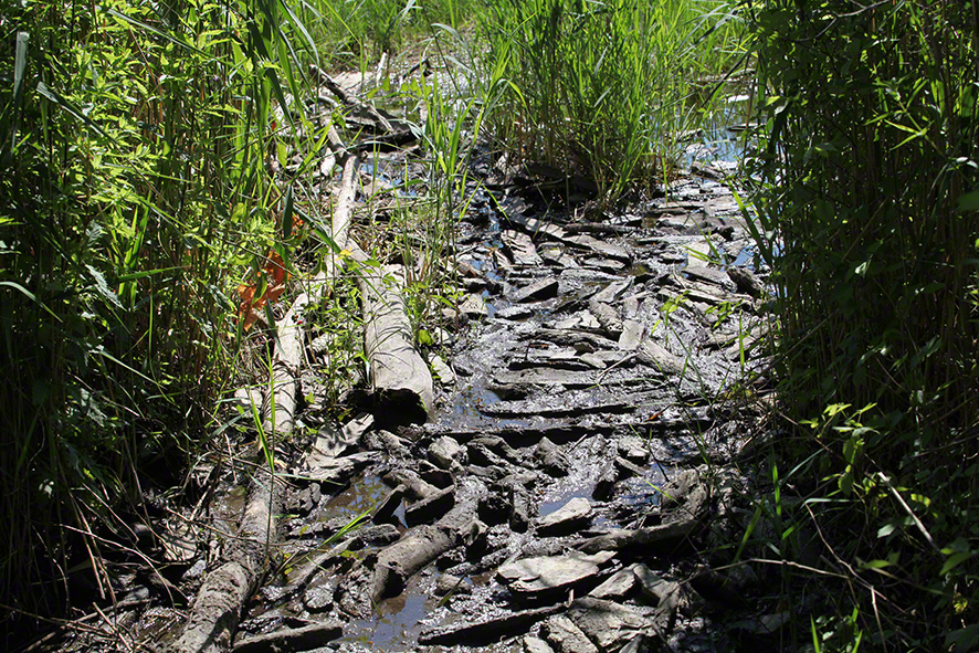 Gewässer in der Lobau, Übergang