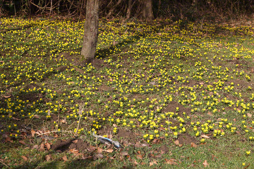 Hintersdorf Winterling