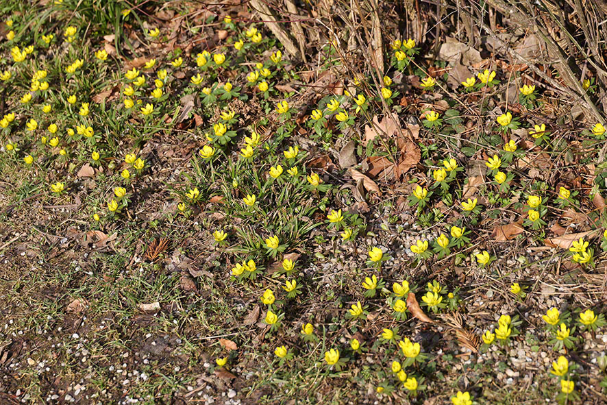 Hintersdorf Winterling
