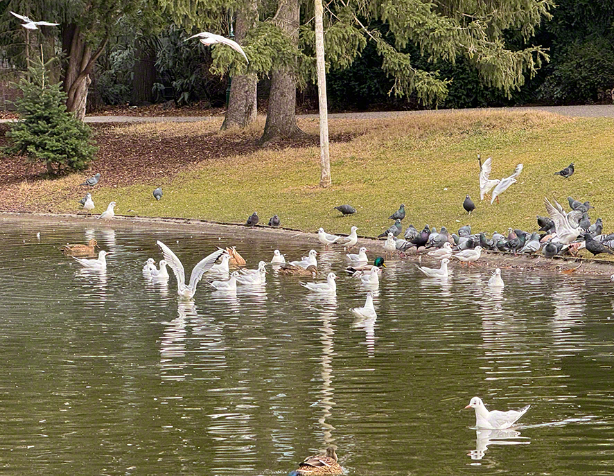 Stadtpark